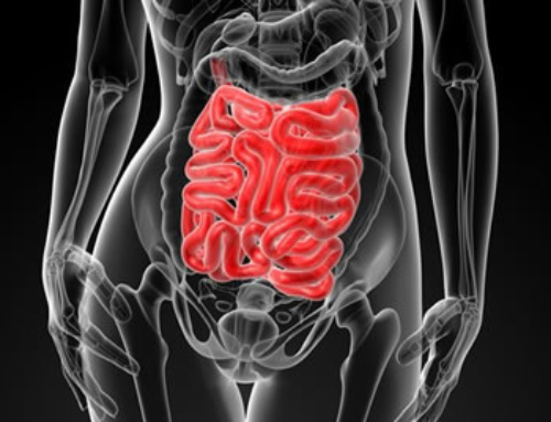 Leaky Gut — 11 Different Causes and How it Can Wreck Your Life