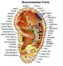 Auriculotherapy Novato - Needle Free Acupuncture