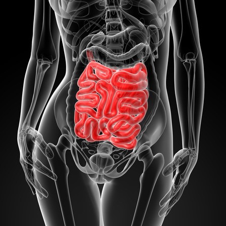 Leaky Gut Syndrome - Novato Functional Medicine